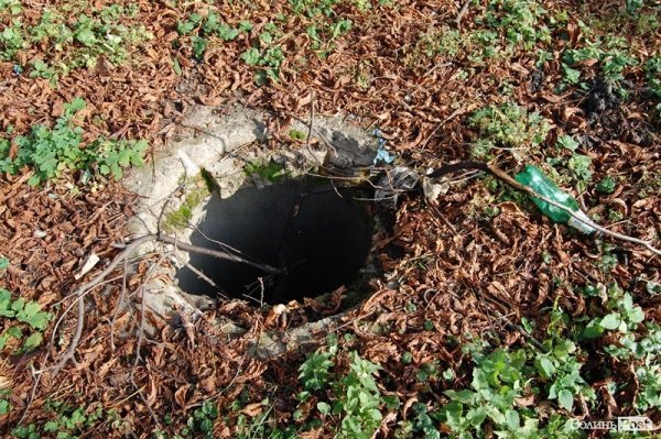 Парк у Луцьку: осіння краса і людська байдужість. ФОТО