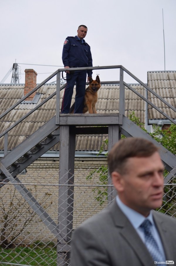 Як живуть та тренуються службові собаки. ФОТО