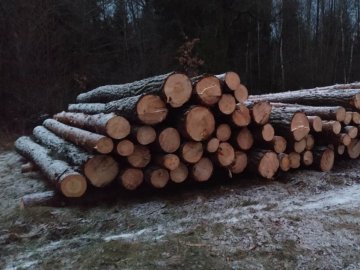 У селі на Волині виявили краденої деревини на 300 тисяч. ФОТО