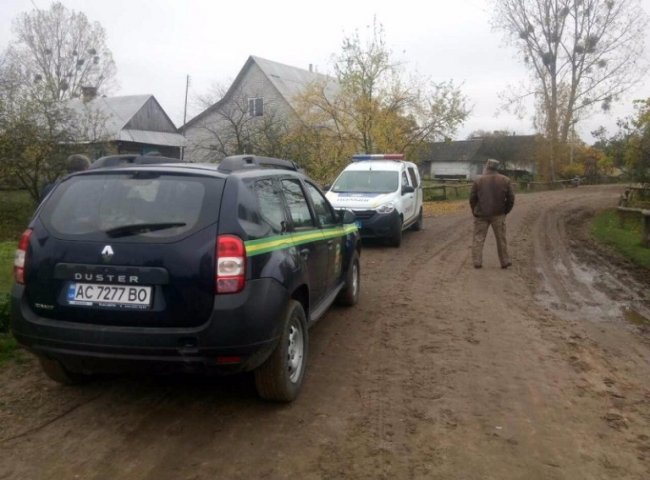 Порізали, порубали, сховали: як на Волині крадуть ліс