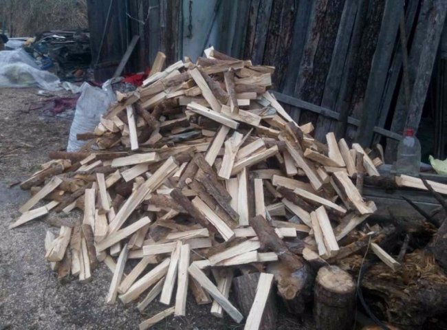 Порізали, порубали, сховали: як на Волині крадуть ліс