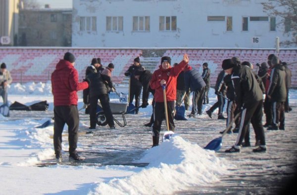  Луцький «Авангард» готують до останнього матчу року