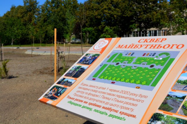 У Луцьку біля перинатального центру з'явився «Сквер майбутнього»