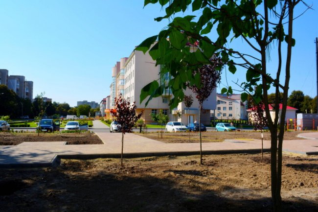 У Луцьку біля перинатального центру з'явився «Сквер майбутнього»