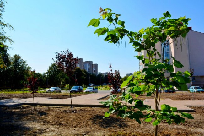 У Луцьку біля перинатального центру з'явився «Сквер майбутнього»
