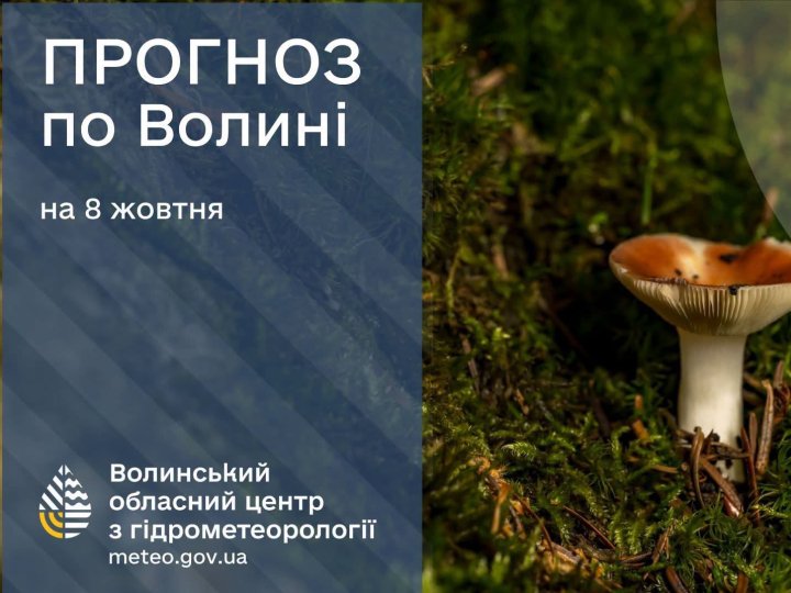 Погода у Луцьку та на Волині: які прогнози синоптиків на четвер, 8 жовтня