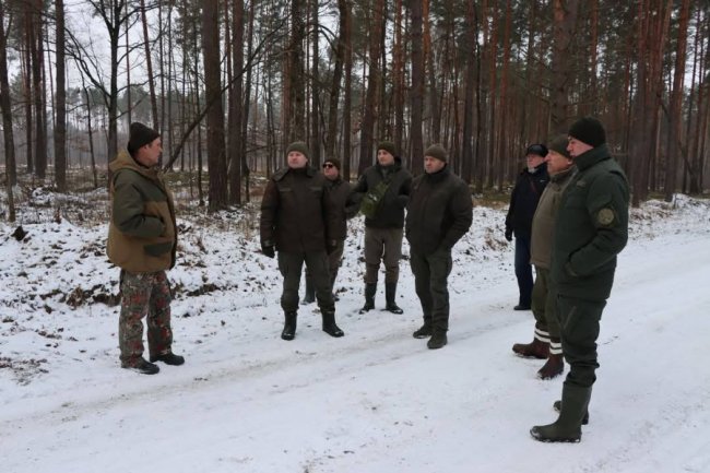 На Волині порахували зубрів. ФОТО