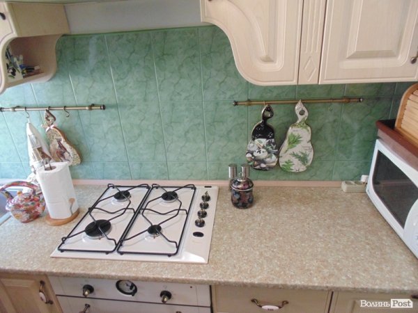 Гузь показав свій «маєток». ФОТО. ВІДЕО