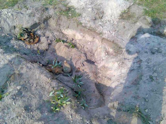 Чоловік шукав старовинні речі, а знайшов рештки людини