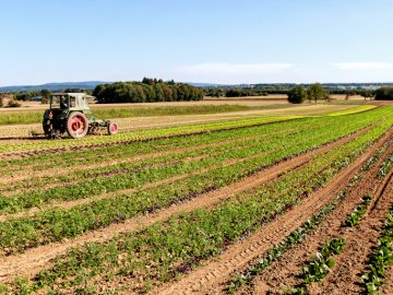 Експерт пояснив, чи можна буде продати свій пай, якщо він у довгостроковій оренді