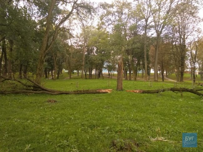 Поламані дерева і підтоплені вулиці: як у Володимирі усували наслідки негоди. ФОТО