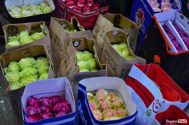 Де у Луцьку недорого купити квіти до свята. АДРЕСИ. ФОТО