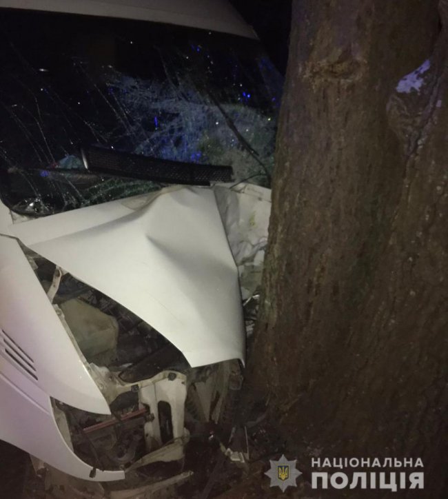 На Волині автомобіль злетів з дороги і  врізався у дерево