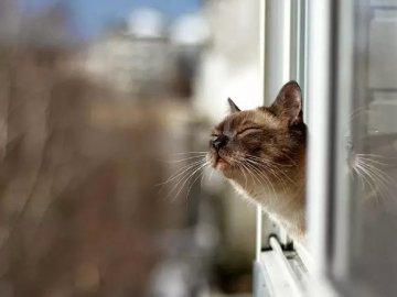 У Луцьку зафіксували черговий за зиму температурний рекорд