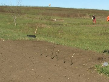 Лучани бідкаються, що не мають змоги добратися до своїх дач. ВІДЕО