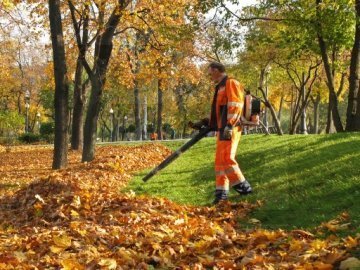 Луцька мерія просить лучан не палити листя і сміття