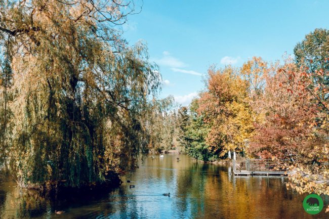 Жовтогаряча осінь у Луцькому зоопарку. ФОТО