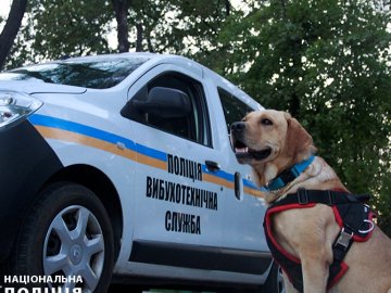 У Луцьку – нове повідомлення про замінування шкіл і садочків