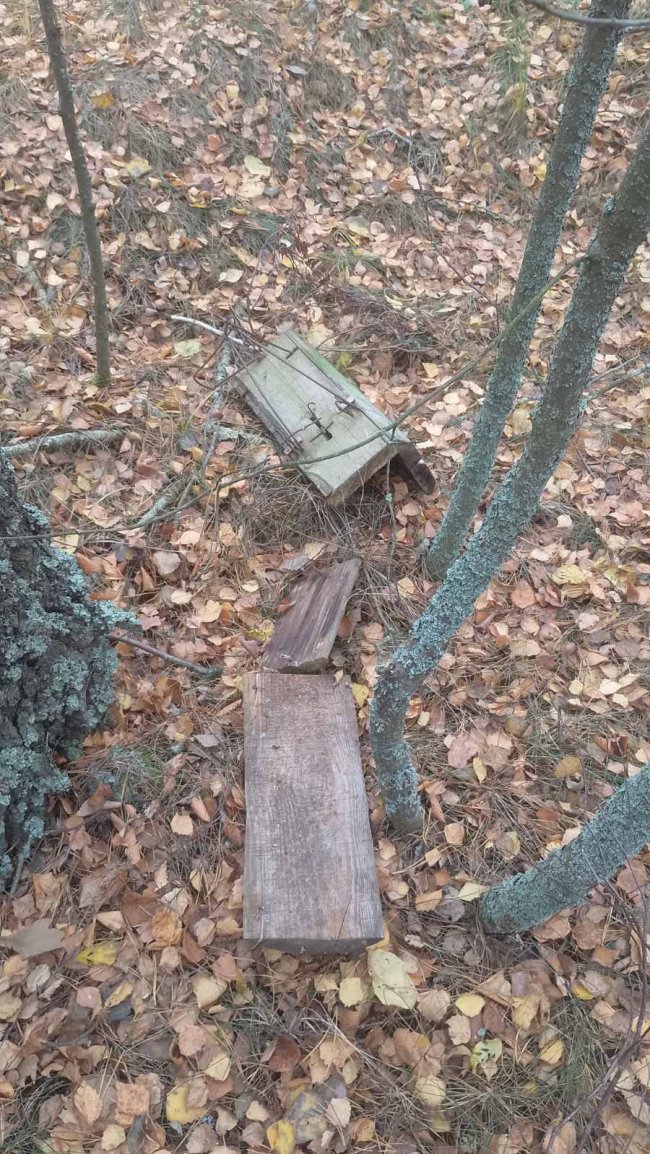 На Волині у нацпарку знайшли пастки браконьєрів. ФОТО