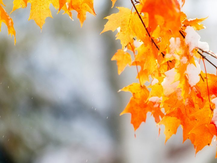 Синоптики прогнозують на Волині цього тижня сніг та ожеледицю