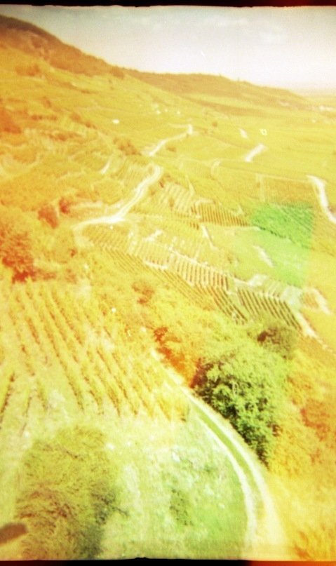 Фотовиставка Юлії Ткаченко