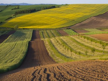 На Волині громаді повернули земельні ділянки, вартістю 88 мільйонів гривень