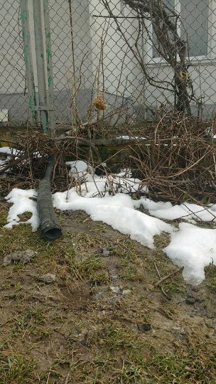 Лучани воду з ванни зливали просто на вулицю. ФОТО