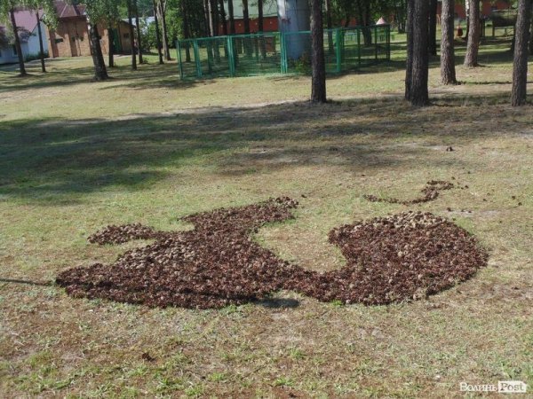 На Волині проінспектували заклади відпочинку. ФОТО