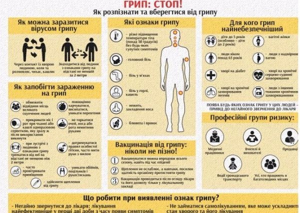 Що потрібно знати про грип: інфографіка