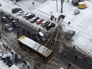 У Києві через негоду дерева падають на людей і розбивають машини. ФОТО