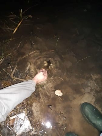 У Ковелі затримали браконьєра, який виловив більше сотні раків. ФОТО