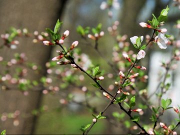 7 травня – яке сьогодні свято  і чому в цей день треба прибирати в будинку
