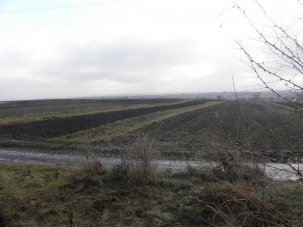 На Волині археологи знайшли старовинну митницю