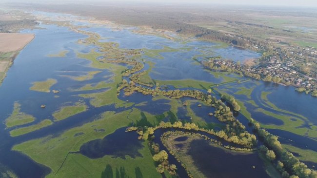 У селищі на Волині річка Стир вийшла з берегів. ФОТО