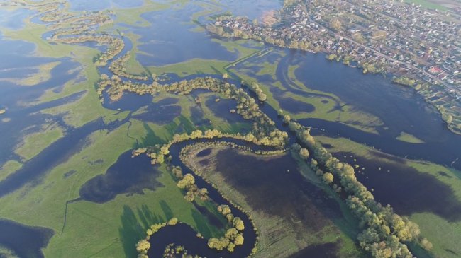 У селищі на Волині річка Стир вийшла з берегів. ФОТО