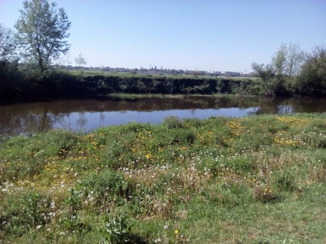 Лучанка шокована станом міського пляжу