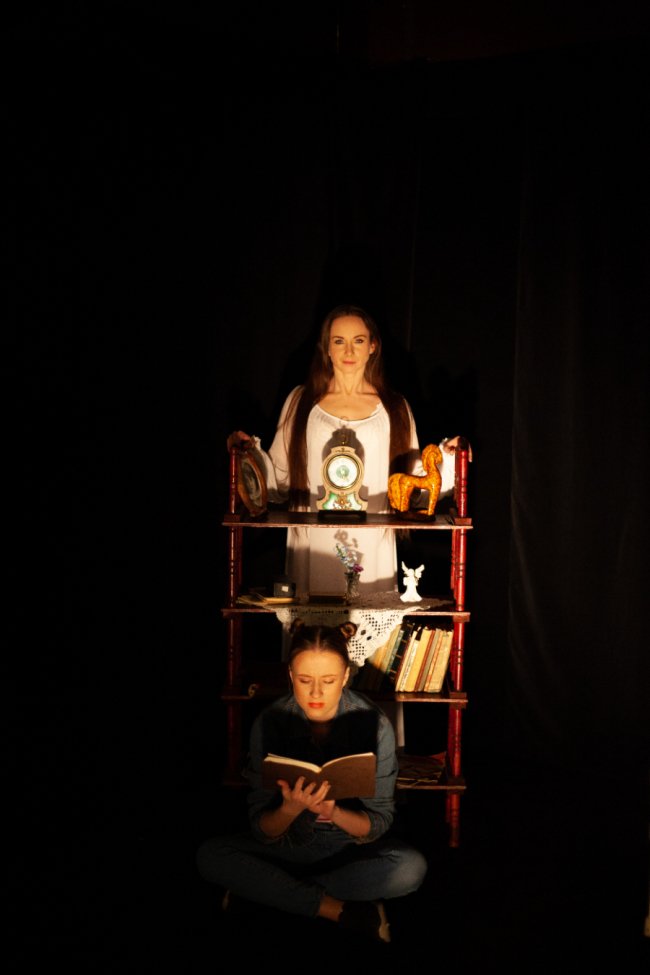 Навіть одна сім'я може стати уособленням всієї країни: огляд вистав у Луцьку 5 – 10 листопада