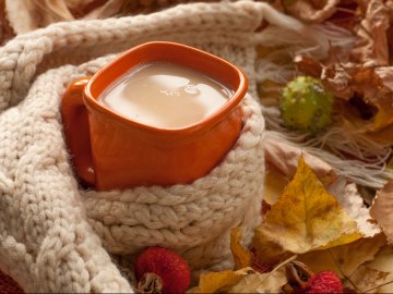 20 листопада  – яке сьогодні свято: чому в цей день не можна в'язати