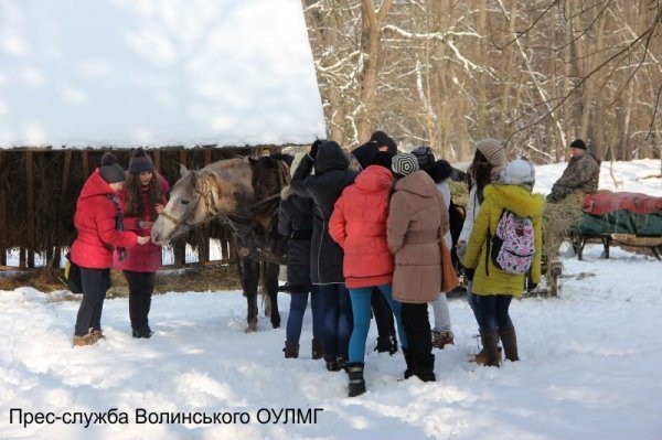 Як школярі звірів годували. ФОТО