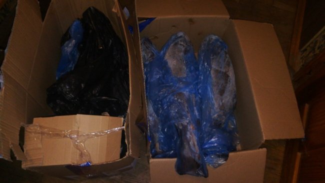 На Волині підприємці передають рибу волонтерам. ФОТО