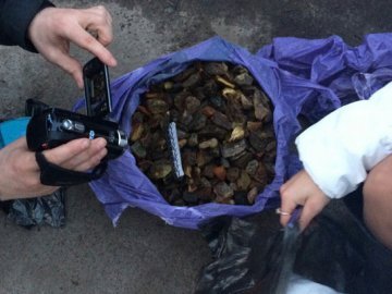 У волинян вилучили 35 кілограмів бурштину
