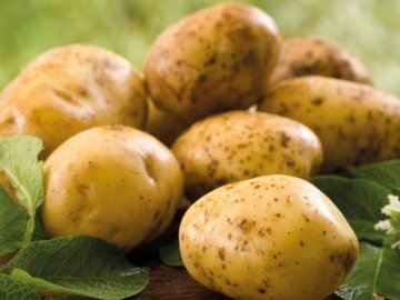 Як зміняться ціни на картоплю восени