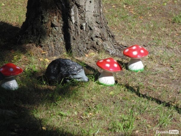 На Волині проінспектували заклади відпочинку. ФОТО