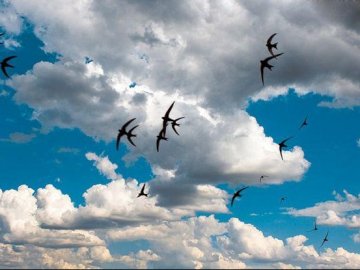 Відчутно похолодає: синоптики попереджають про антициклон