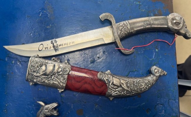 Через «Ягодин» іноземець намагався провезти холодну зброю, ікони Богоматері та медалі із нацистською символікою