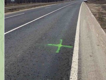 На Рівненщині поліцейські затримали дівчину, яка малювала мітки 