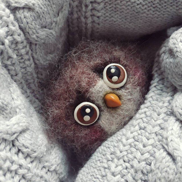 «Схоже на шаманство із лялькою вуду»: лучанка в декреті створює дивовижні іграшки із вовни. ФОТО