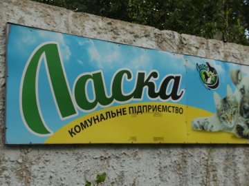 Розміщення печі для спалювання трупів тварин у Брищі: місцеві мешканці – проти 