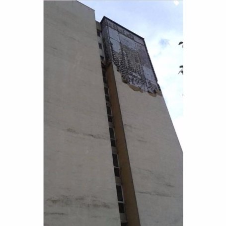 Буревій у Польщі повиривав із корінням дерева та вбив людину. ФОТО