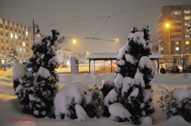 Передсвятковий вечір у засніженому Луцьку. ФОТО